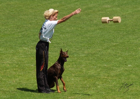 IDC World championship 2007