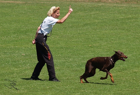 IDC World championship 2007