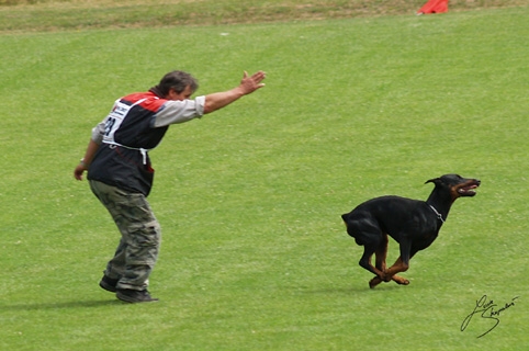 IDC World championship 2007