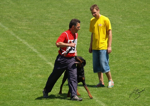 IDC World championship 2007