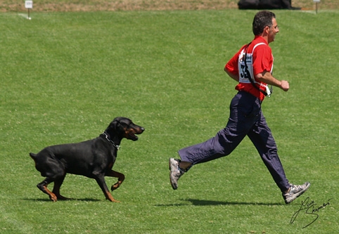 IDC World championship 2007