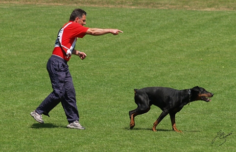 IDC World championship 2007