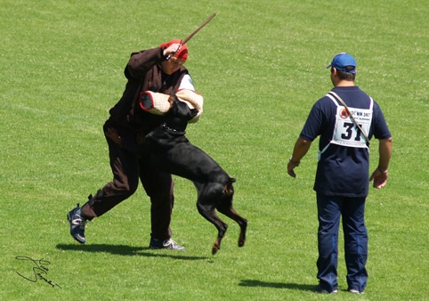 IDC World championship 2007