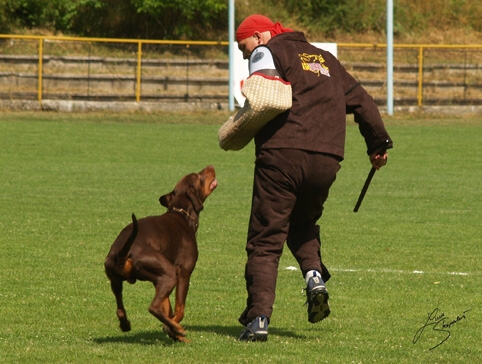 IDC World championship 2007