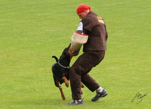 IDC World championship 2007