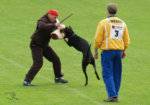 IDC World championship 2007