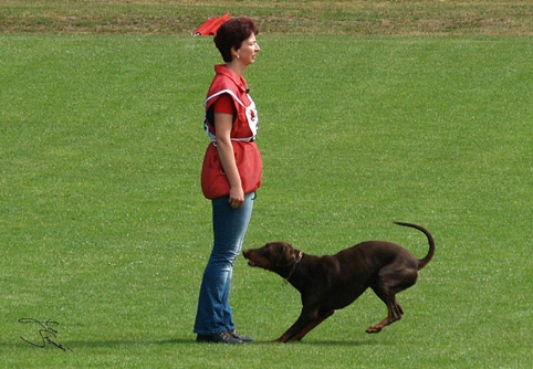 IDC World championship 2007