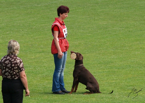 IDC World championship 2007