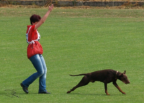 IDC World championship 2007