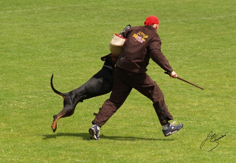 IDC World championship 2007