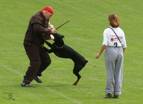 IDC World championship 2007