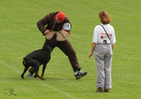 IDC World championship 2007