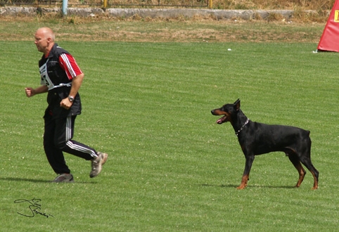 IDC World championship 2007