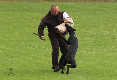 IDC World championship 2007