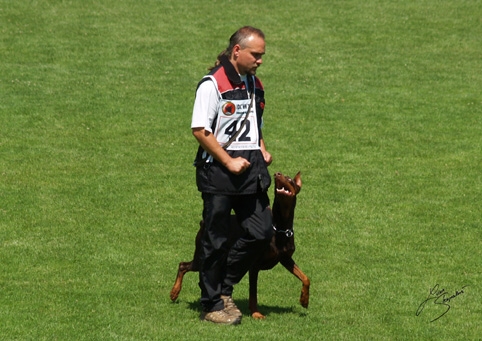 IDC World championship 2007