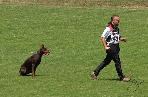 IDC World championship 2007