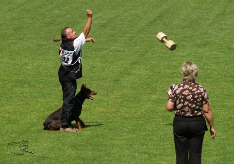 IDC World championship 2007