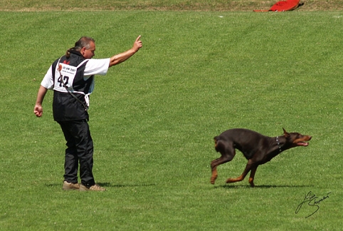 IDC World championship 2007