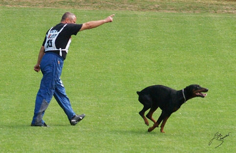 IDC World championship 2007