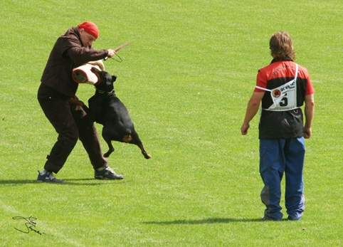 IDC World championship 2007