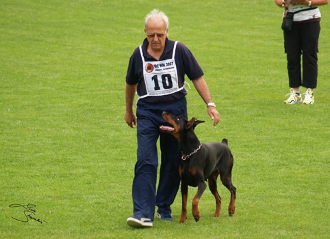 IDC World championship 2007