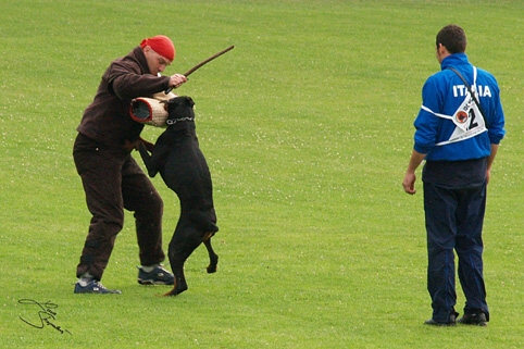 IDC World championship 2007