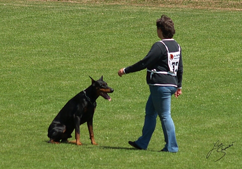 IDC World championship 2007