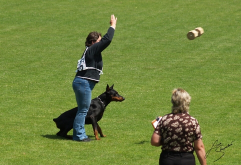 IDC World championship 2007