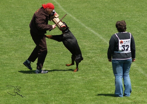 IDC World championship 2007