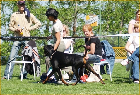 Lucie and Cliff vom Beuchower Hof_CAC.jpg