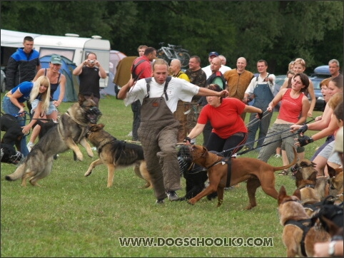 Training camp - Lukova 2007