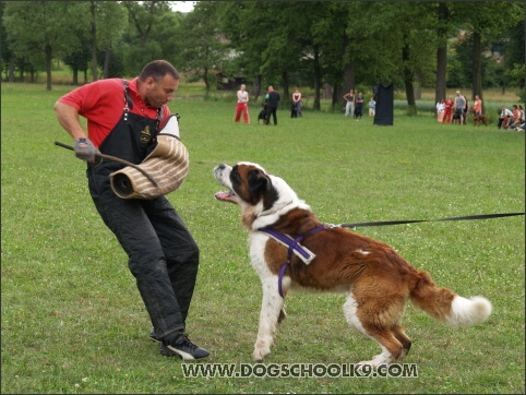 Training camp - Lukova 2007