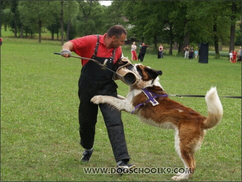 Training camp - Lukova 2007