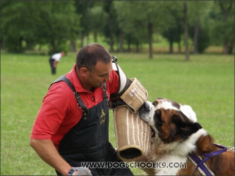 Training camp - Lukova 2007