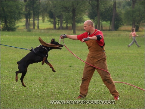 Training camp - Lukova 2007