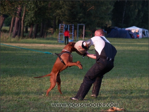 Training camp - Lukova 2007