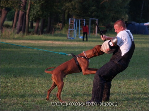 Training camp - Lukova 2007