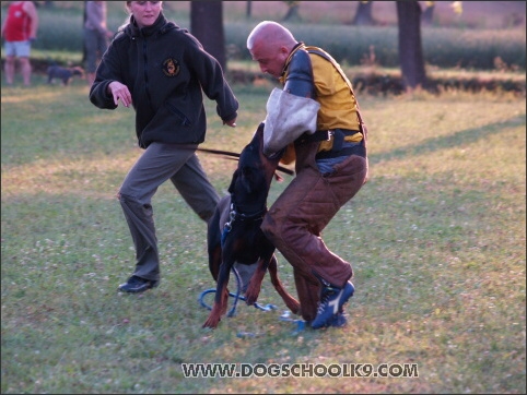 Training camp - Lukova 2007