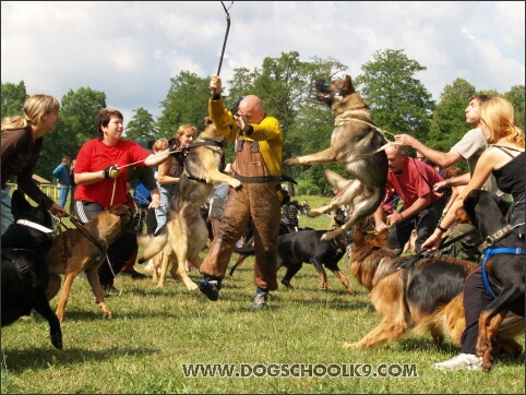 Training camp - Lukova 2007