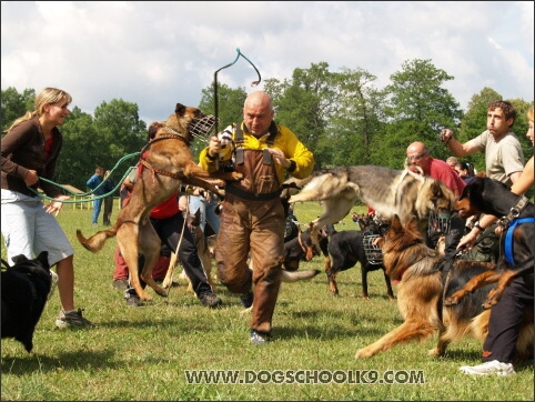 Training camp - Lukova 2007