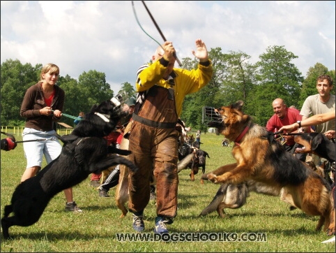 Training camp - Lukova 2007