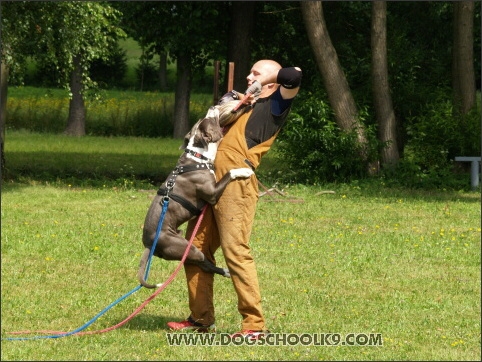 Training camp - Lukova 2007