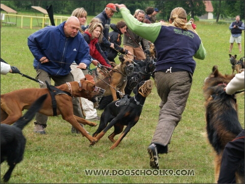 Training camp - Lukova 2007