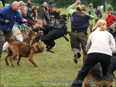 Training camp - Lukova 2007