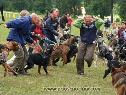 Training camp - Lukova 2007