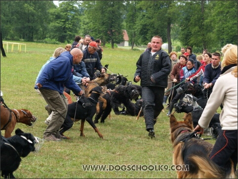 Training camp - Lukova 2007