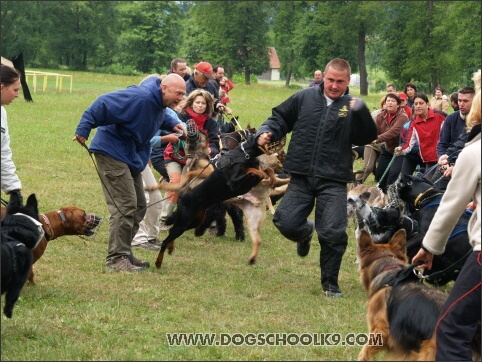 Training camp - Lukova 2007