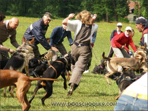 Training camp - Lukova 2007