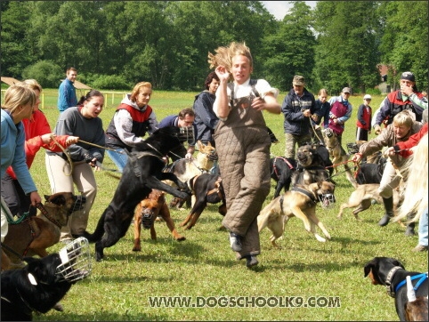 Training camp - Lukova 2007