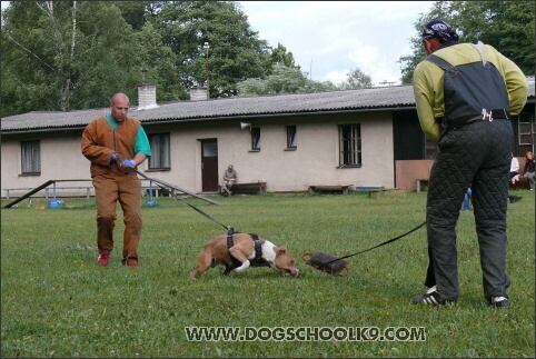 Training camp - Lukova 2007